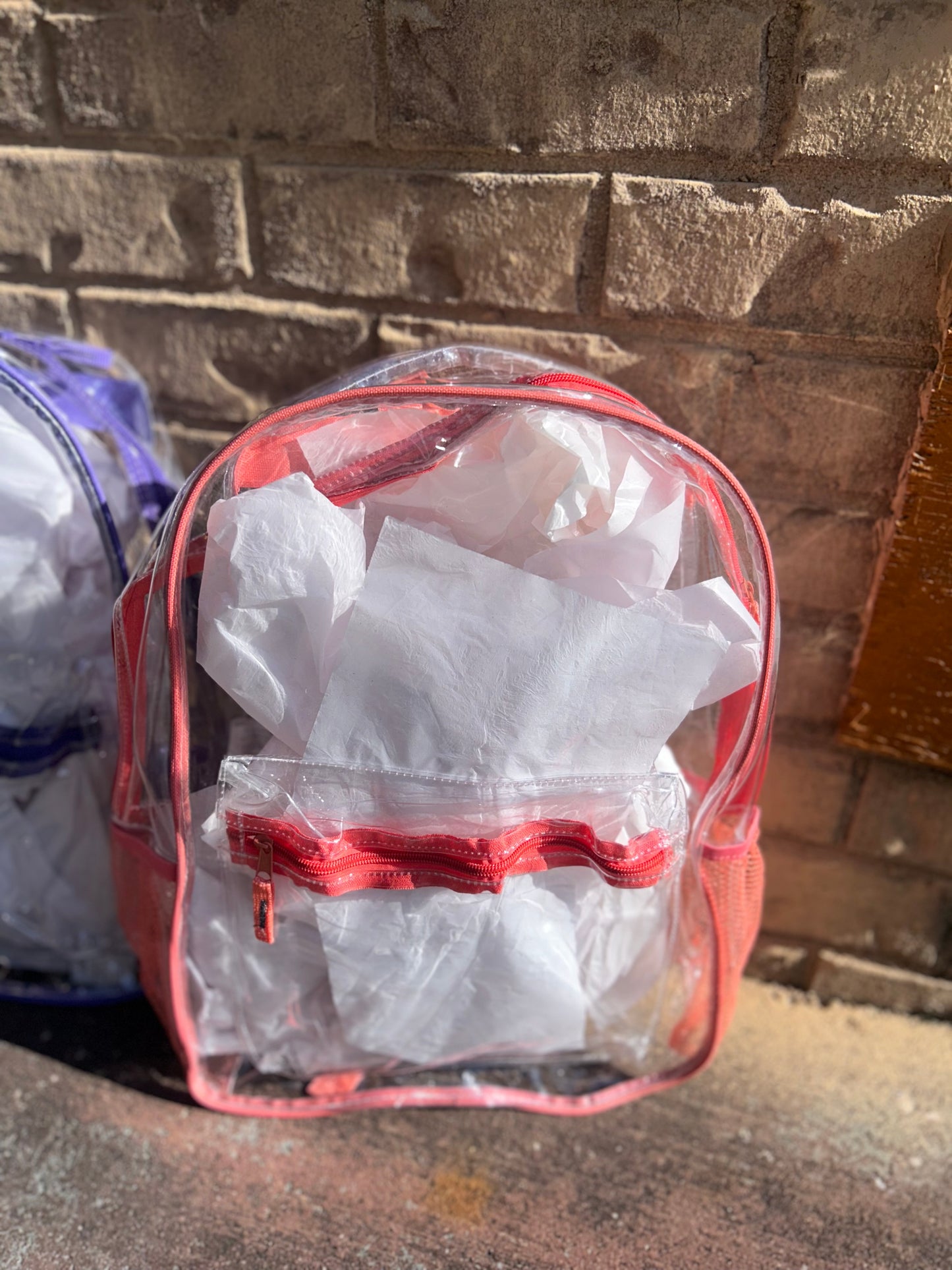 Clear 17in Bookbags