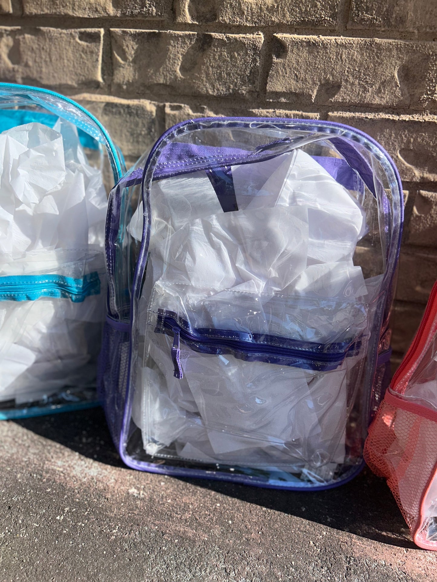 Clear 17in Bookbags