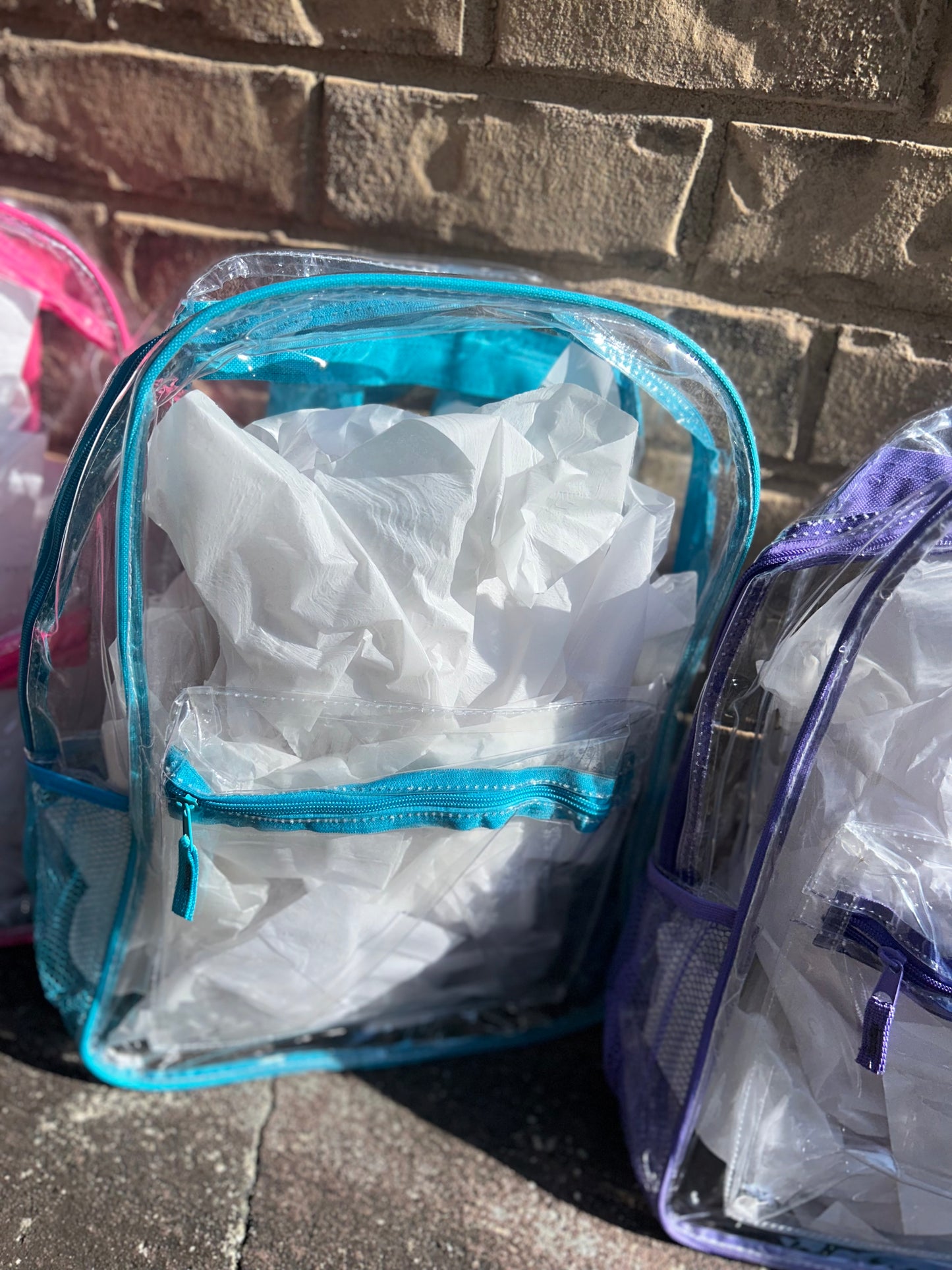Clear 17in Bookbags