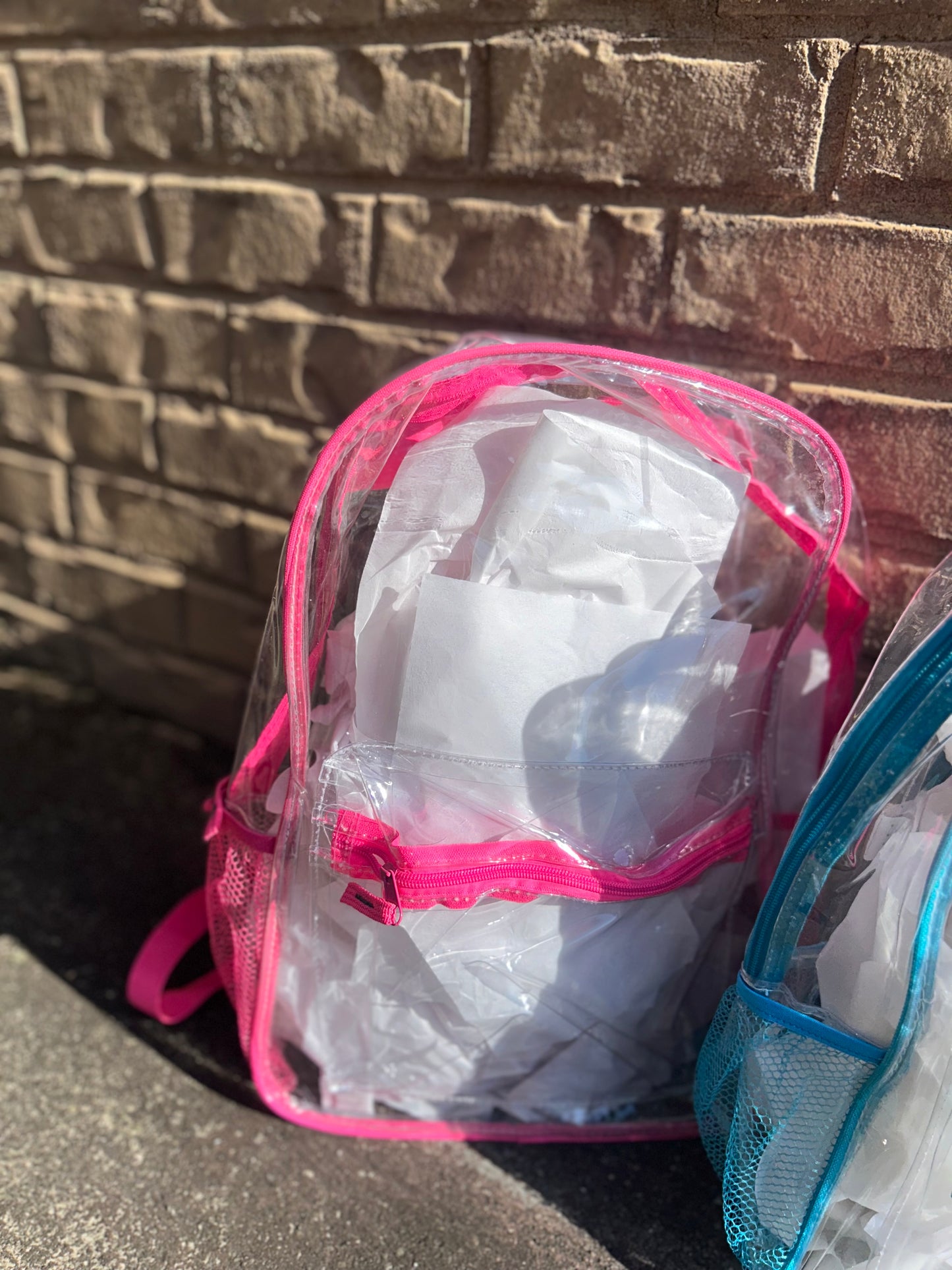 Clear 17in Bookbags