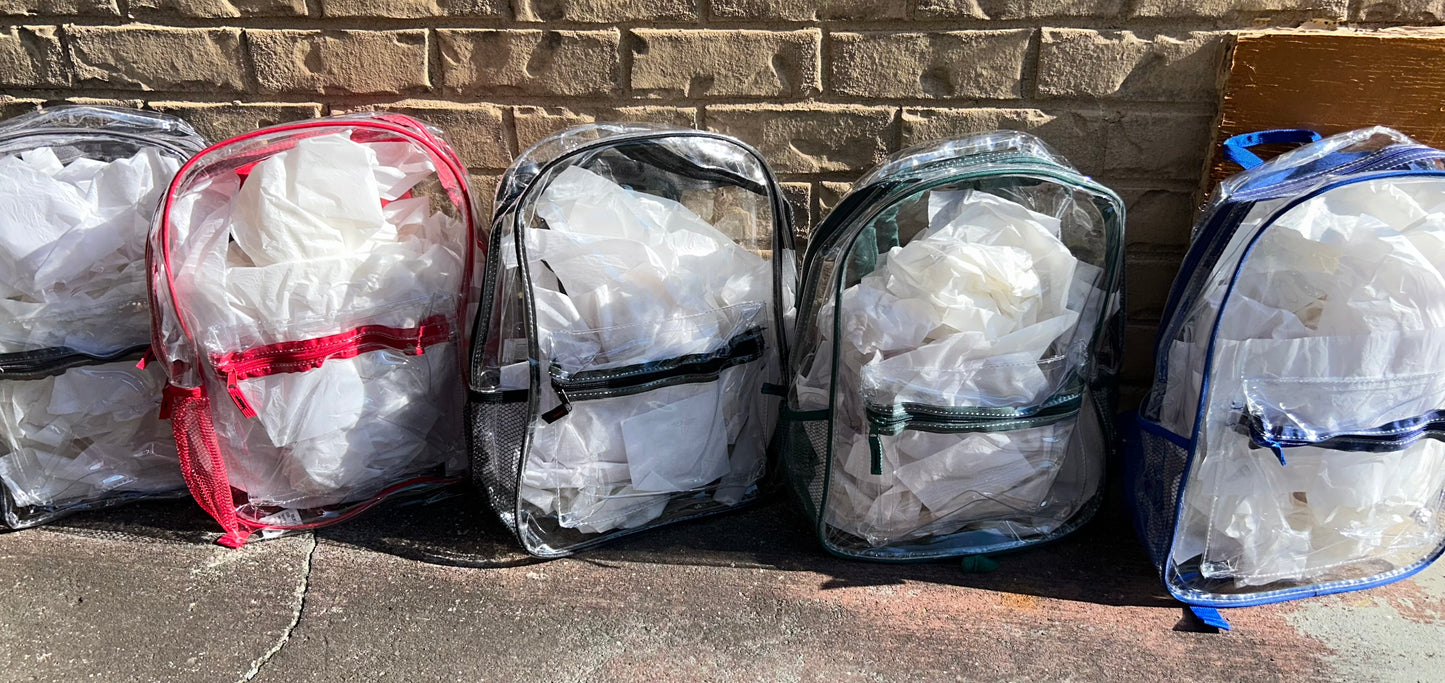 Clear 17in Bookbags