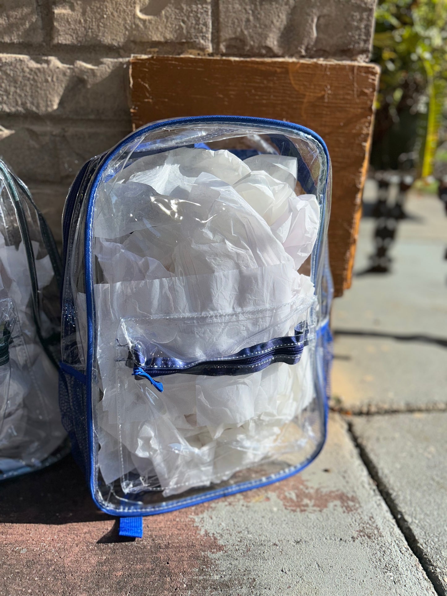 Clear 17in Bookbags