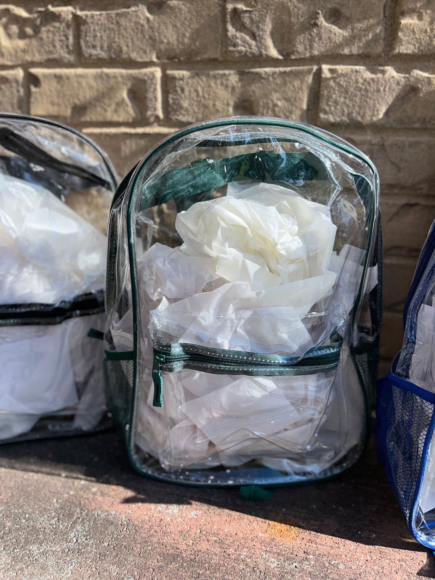 Clear 17in Bookbags