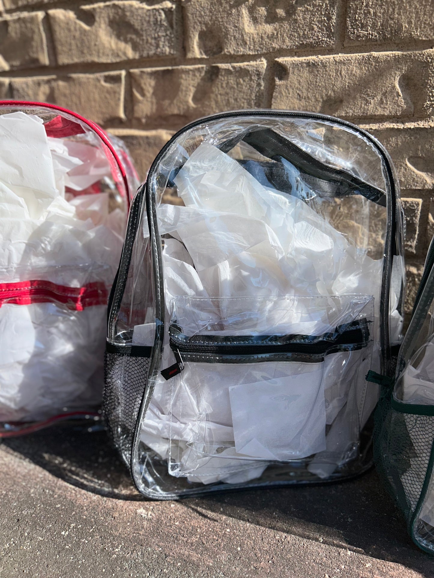 Clear 17in Bookbags