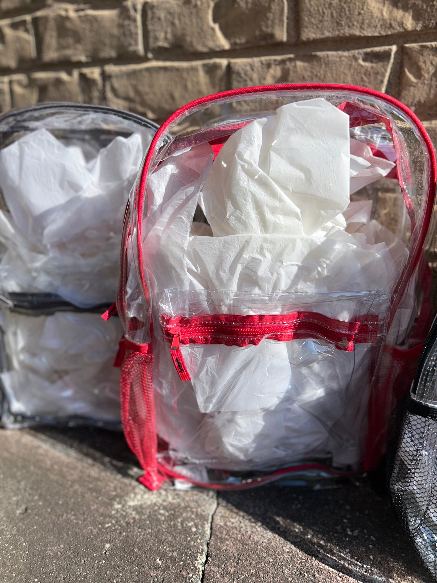 Clear 17in Bookbags