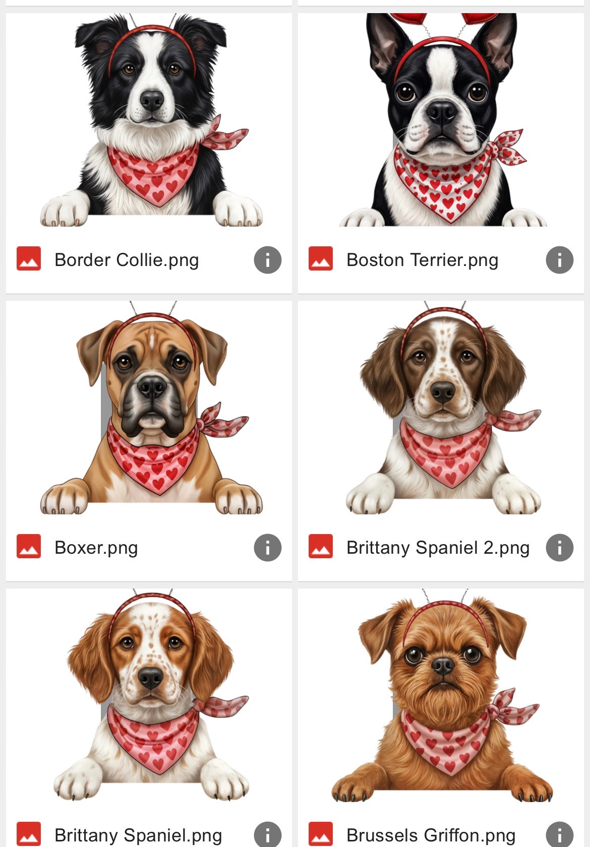 V-Day Dog