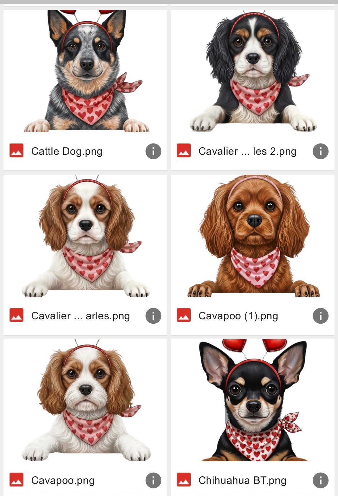 V-Day Dog