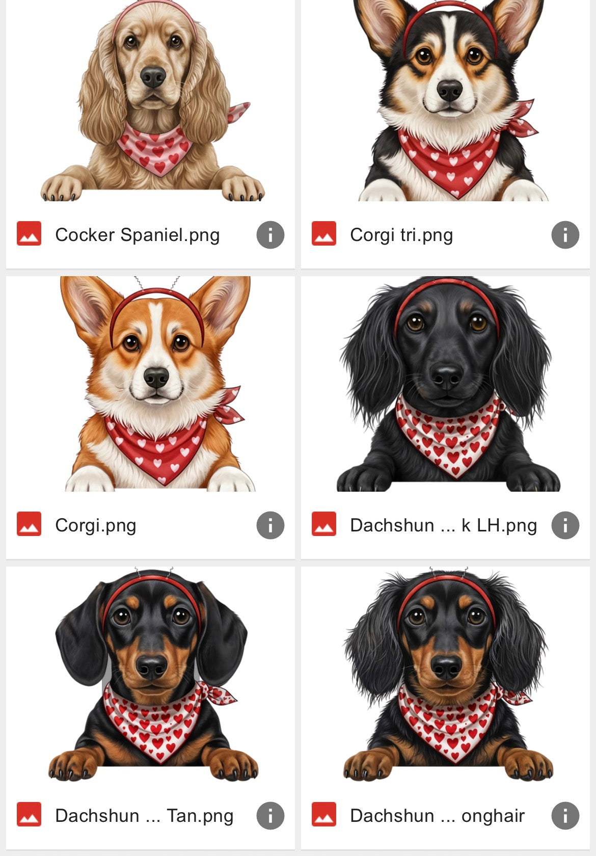 V-Day Dog