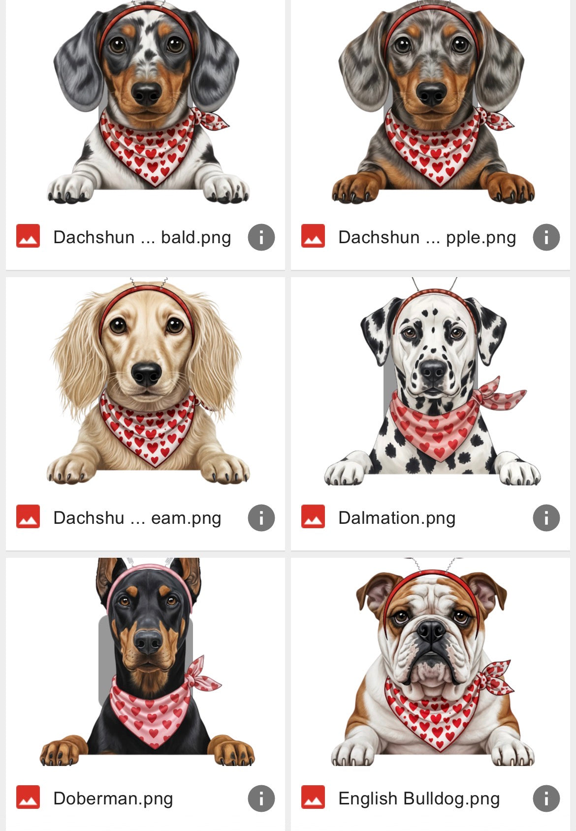 V-Day Dog