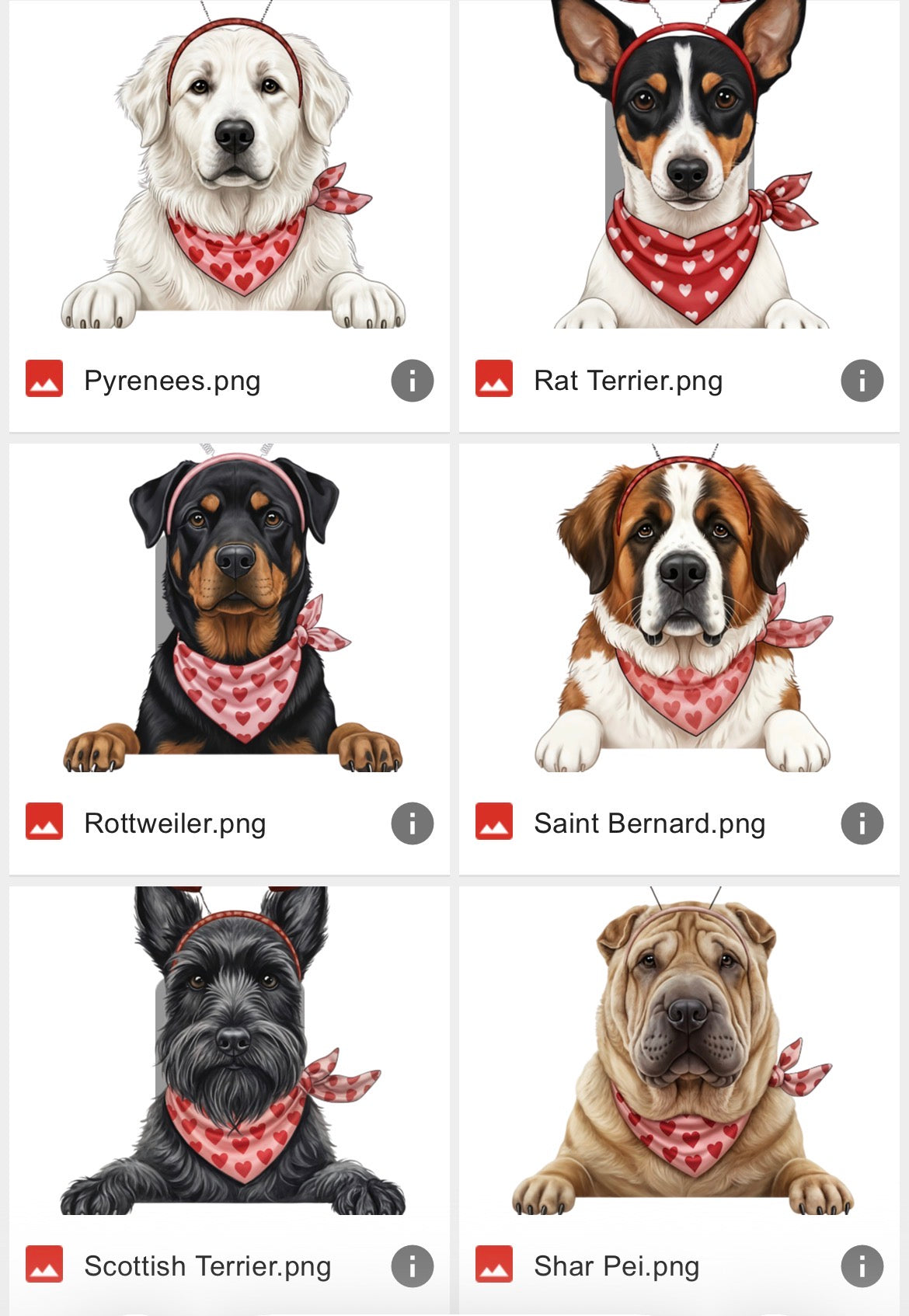 V-Day Dog